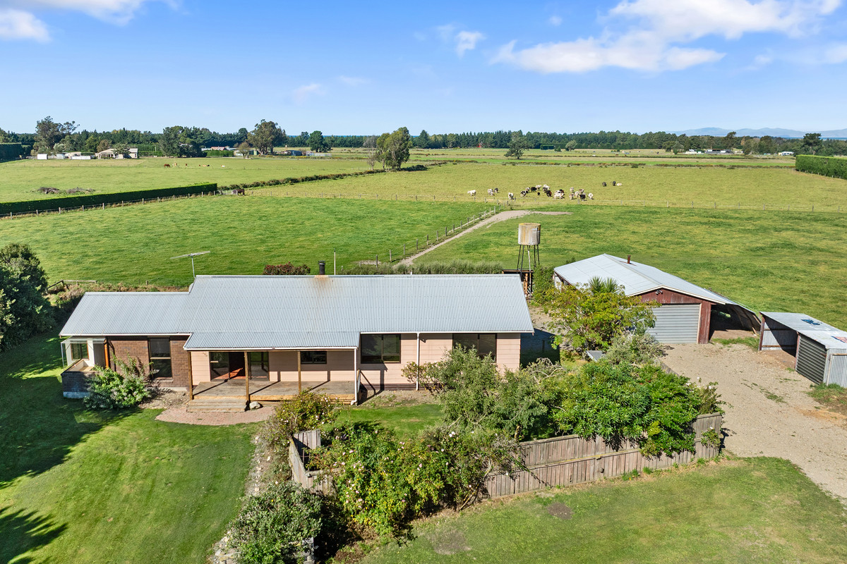 Lifestyle Starter, Serious Potential!